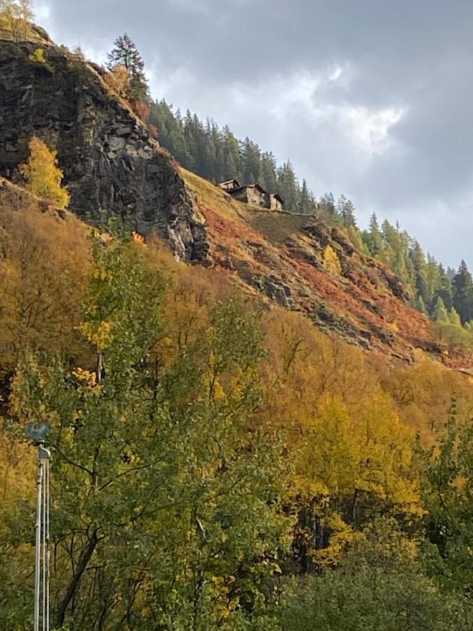 Baita Valtellina. Relax Nel Cuore Delle Alpi غروسيو المظهر الخارجي الصورة