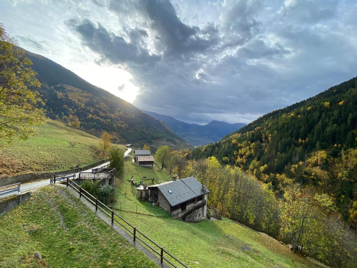 Baita Valtellina. Relax Nel Cuore Delle Alpi غروسيو المظهر الخارجي الصورة